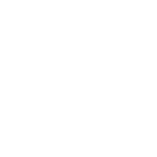 X-icon